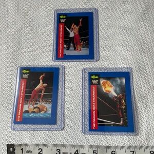 1991 Wrestling Trading Cards Set